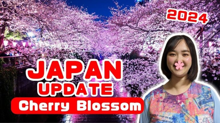 Japan Spring 2024 | Watch This Before You Go for Cherry Blossoms