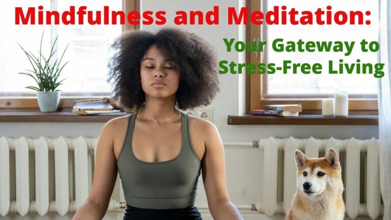 Mindfulness and Meditation: Your Gateway to Stress-Free Living