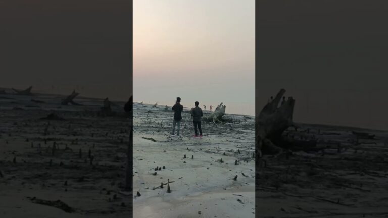 #Mi #kuakataseabeach #কুয়াকাটা #SEO #seabeach #trending #shortsvideo #travel #4k