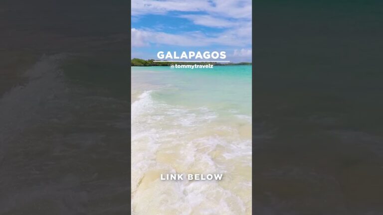 #TommyTravelz #travelnow #traveltips #galapagos #sancristobal #santacruz #islabaltra #isabelaisland