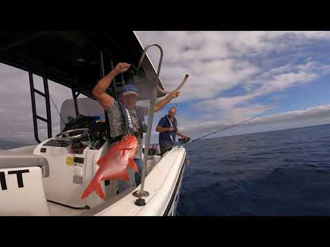 Deep Sea Fishing – FishPoint Madeira