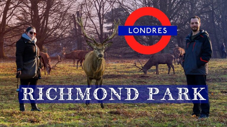 Vemos ciervos en Richmond Park. Guía de Londres #3 | INGLATERRA | Entre Rutas