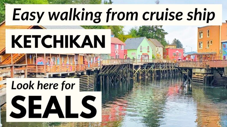 Wildlife in Ketchikan cruise port: Easy walk to look for harbor seals along Creek Street!